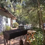 Lago Vichuquen, 25Mt Orilla Privada Con Muelle, En Terreno Con Bosque De 2 Hectareas, Primera Linea