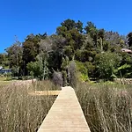Lago Vichuquen, 25Mt Orilla Privada Con Muelle, En Terreno Con Bosque De 2 Hectareas, Primera Linea