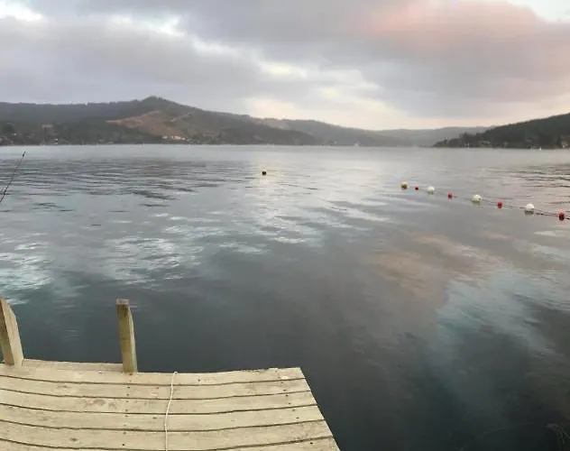 Lago Vichuquen, 25Mt Orilla Privada Con Muelle, En Terreno Con Bosque De 2 Hectareas, Primera Linea