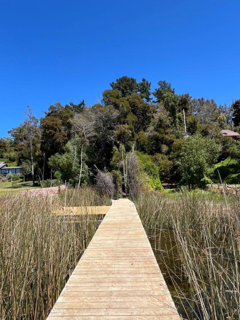 Vichuquen, 25mt Orilla Privada Con Muelle, En Terreno Con Bosque De 2 Hectareas, Primera Linea